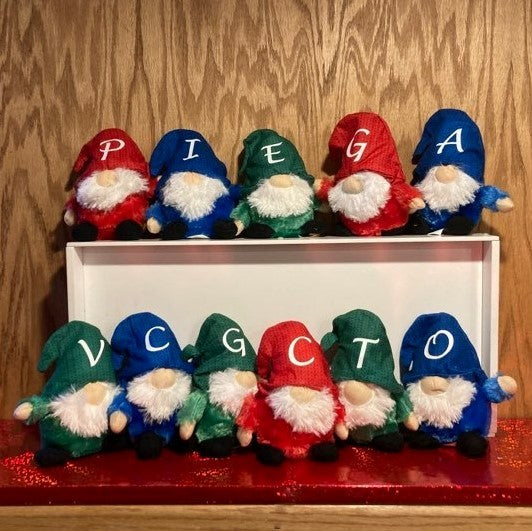 Personalized Christmas Gnomes, Multiple Options Available